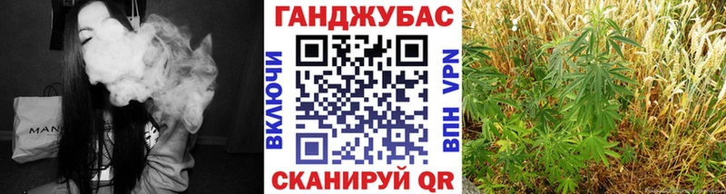 omg как войти  Красноуфимск  Бошки марихуана планчик 